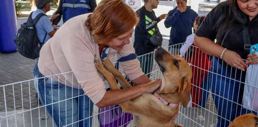 Barra do Piraí: Campanha “Me Leva Pra Casa” realiza última edição de 2025 nesta quarta-feira